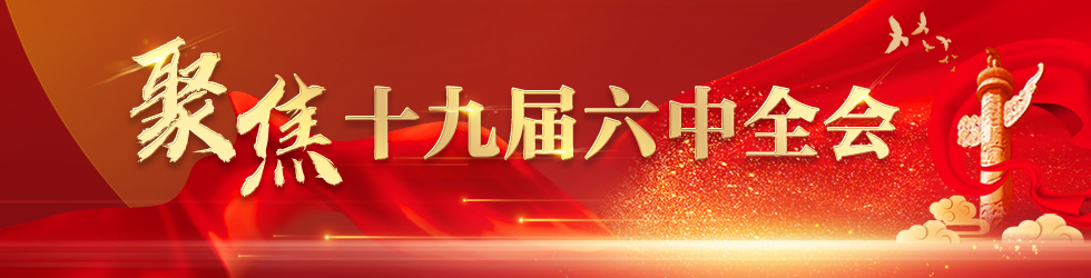 聚焦十九屆六中全會_fororder_以此為準980X250