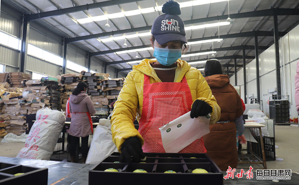 靈台獨店鎮蘋果銷貯並舉促增收_fororder_44
