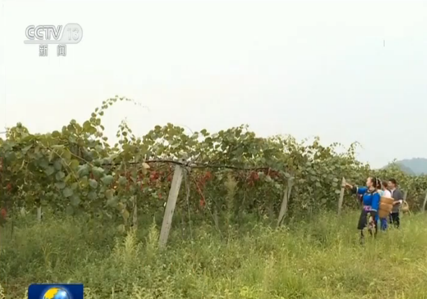 “走向我們的小康生活”主題採訪報道活動啟動