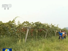 “走向我們的小康生活”主題採訪報道活動啟動