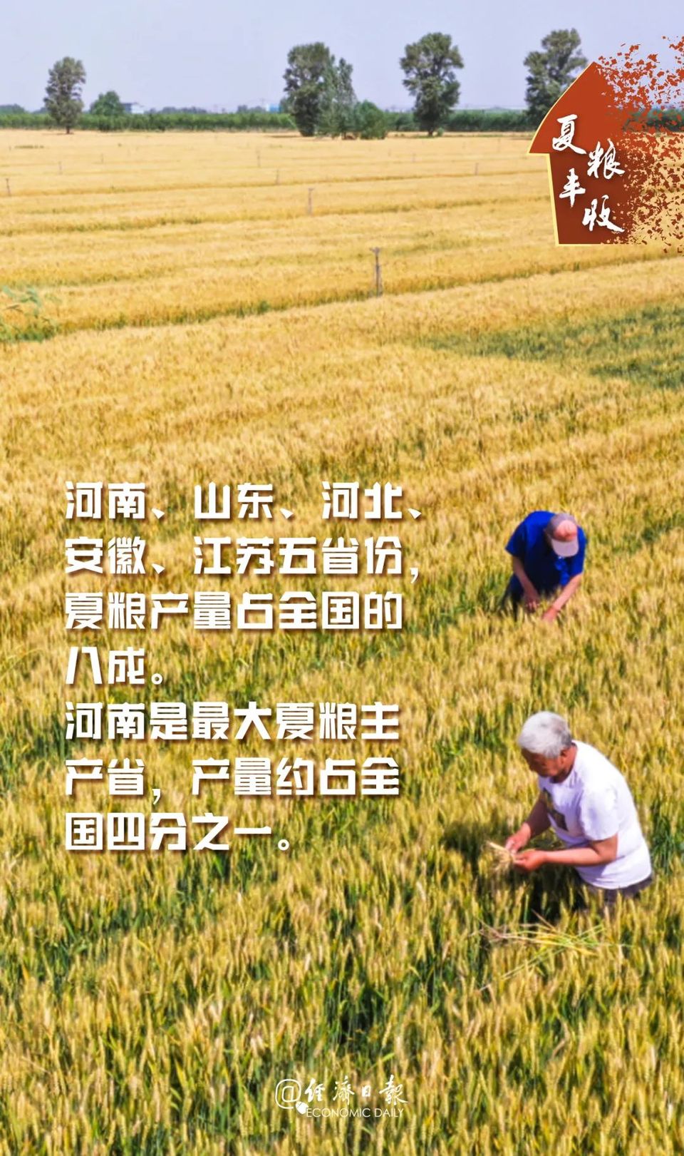 豐豐豐豐豐豐豐豐豐豐豐豐豐豐豐豐豐收！