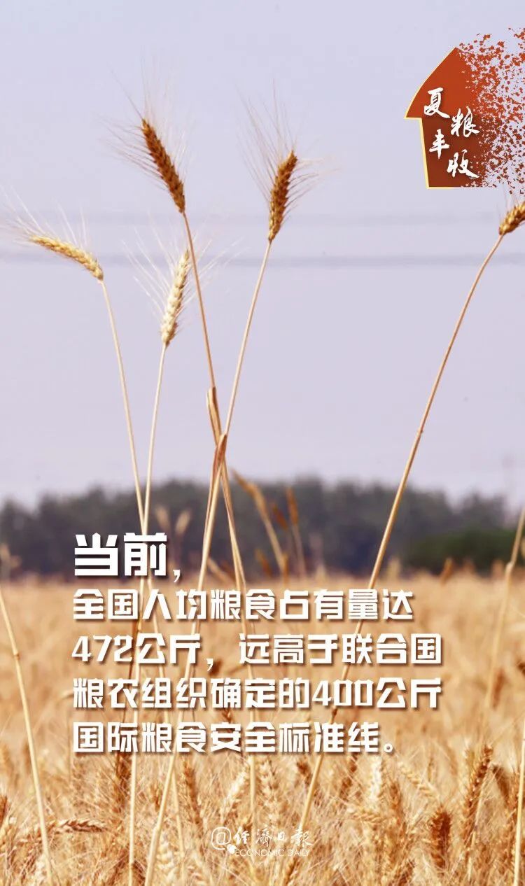 豐豐豐豐豐豐豐豐豐豐豐豐豐豐豐豐豐收！