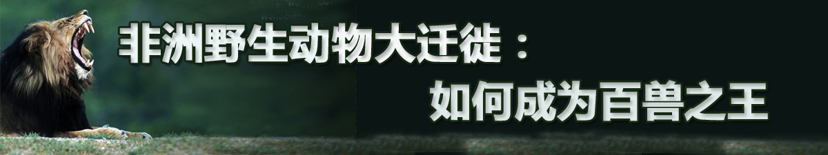 【直播天下】非洲野生動物大遷徙第五集：如何成為百獸之王_fororder_未標題-1 banner