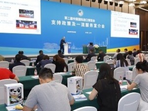 倒計時100天！支持政策、一流服務全方位助力第二屆進博會順利舉行