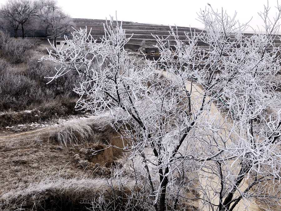 【焦點圖輪播圖】甘肅蘭州榆中北山出現罕見冰霧_fororder_LOCAL202201221324000395767775801