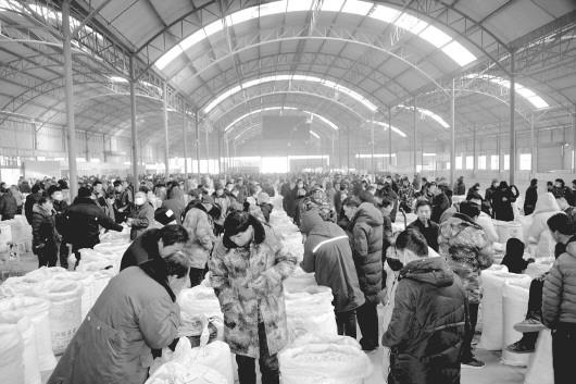 【定西列表】隴西：藥材市場開市第一天好熱鬧