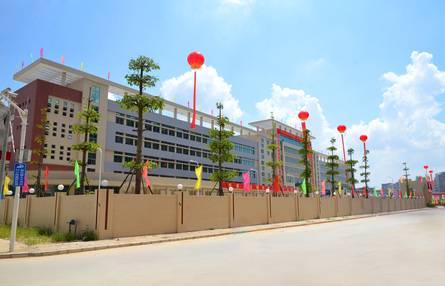 圖片默認標題