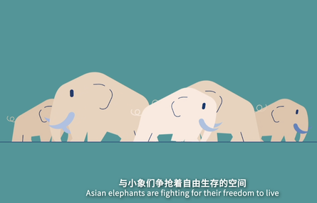 圖片默認標題