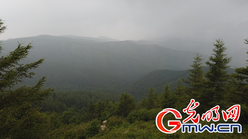旅遊産業續寫蘇木山人工林場綠色傳奇