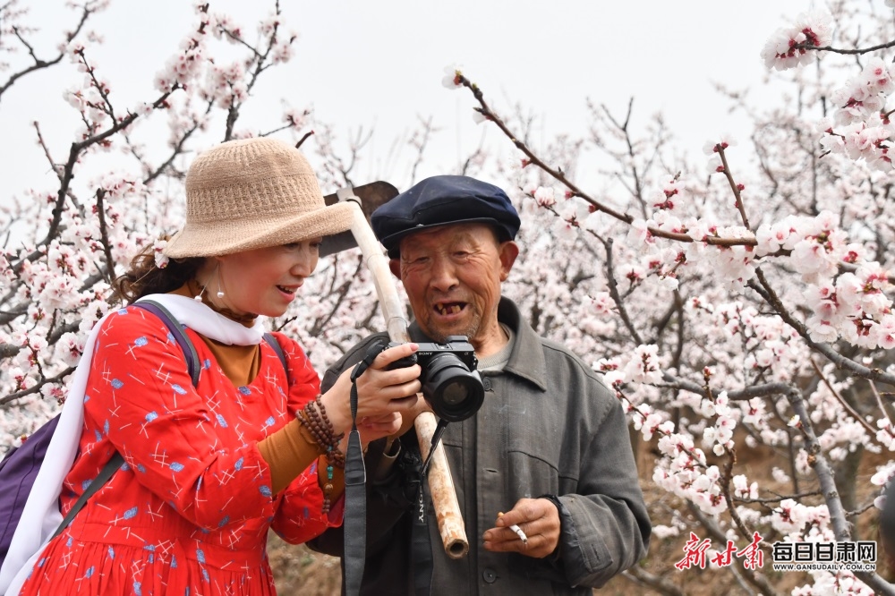 【焦點圖輪播+天水列表】細雨清風到新陽 杏花紅紫滿眼春