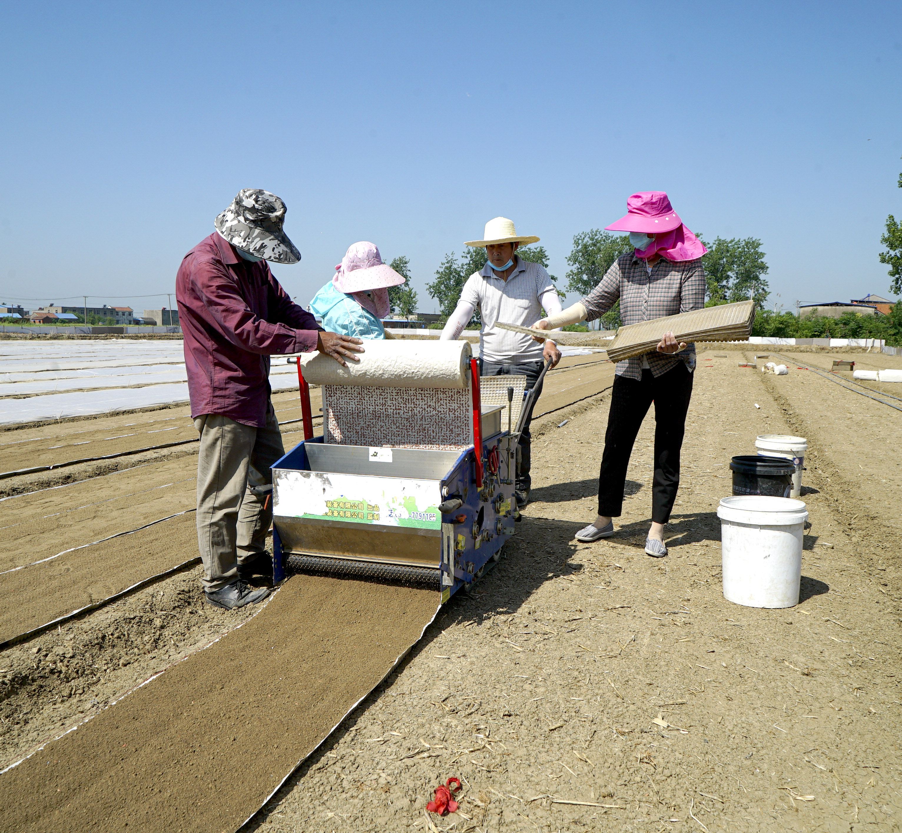 安徽五河:水稻印刷育秧技術讓水稻生産跑出“加速度”_fororder_DSC00184
