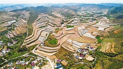 遠山有幸福