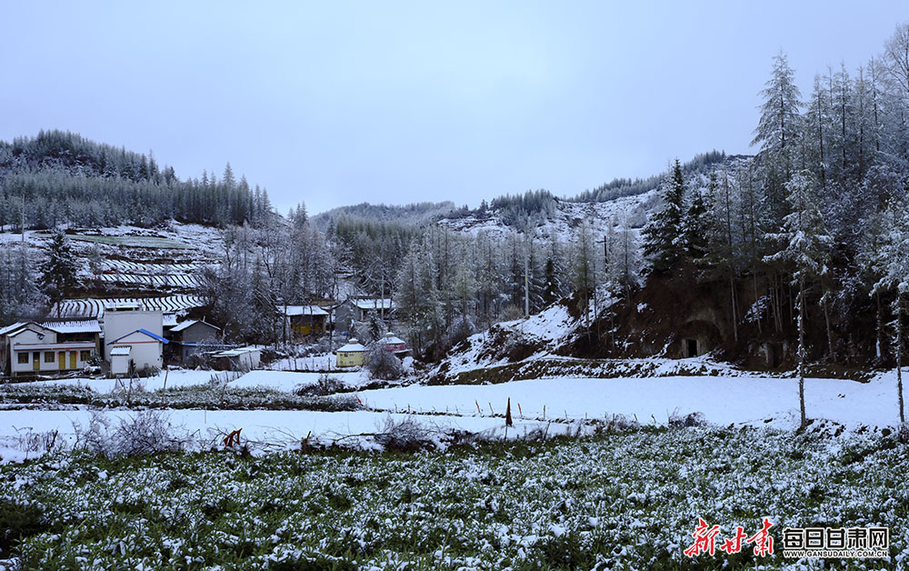【焦點圖+大美甘肅+隴南列表】長天遠樹山山白 不辨山花與雪花 春雪落武都山村美如畫