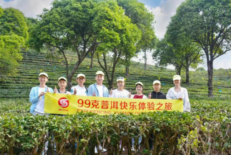 【2022中國品牌日|為你講一個新故事】 “老同志”告訴你一個新的普洱茶故事_fororder_“老同志” 告訴你一個新的普洱茶故事528