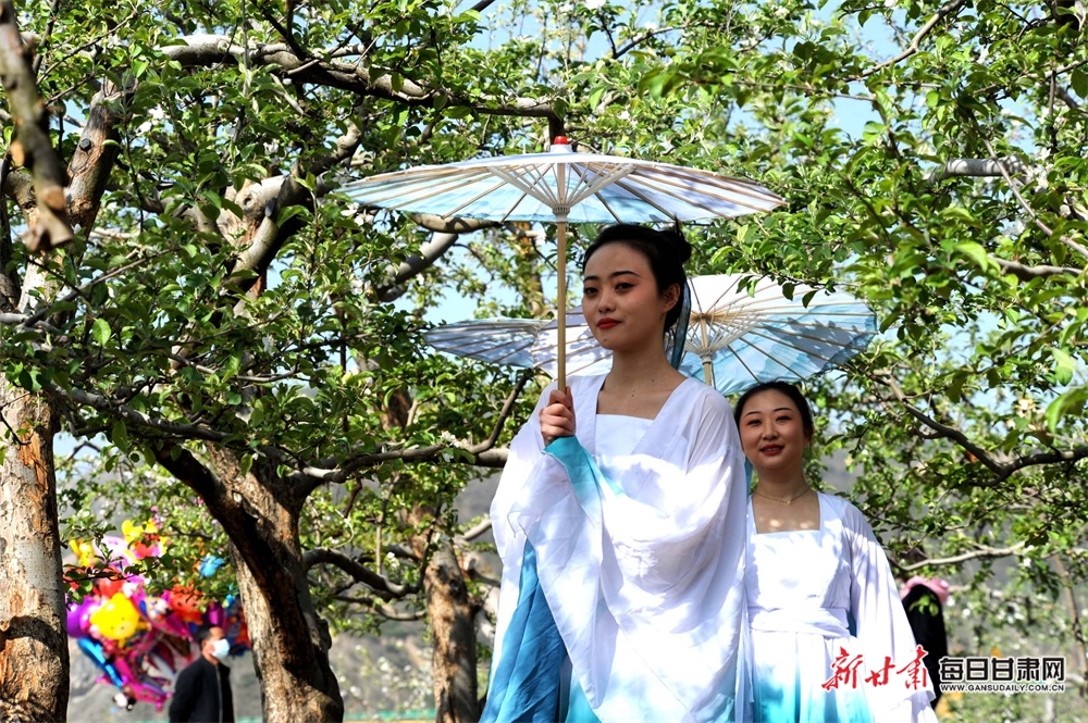 禮縣：蘋果花香送清甜 直播帶貨助增收