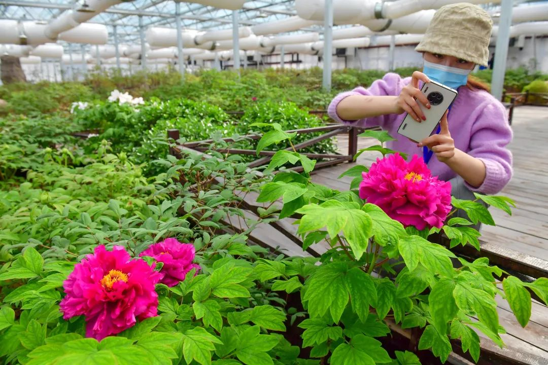 China's First Smart Temperature-Control Greenhouse Opens_fororder_圖片8