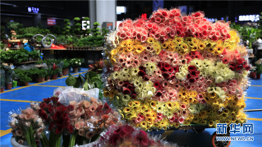 嚮往的昆明|盛開在昆明的“鮮花經濟”