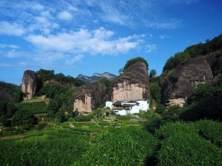 【2022中國品牌日|為你講一個新故事】  武夷山茶旅找“二師兄”_fororder_武夷山茶旅找“二師兄”759