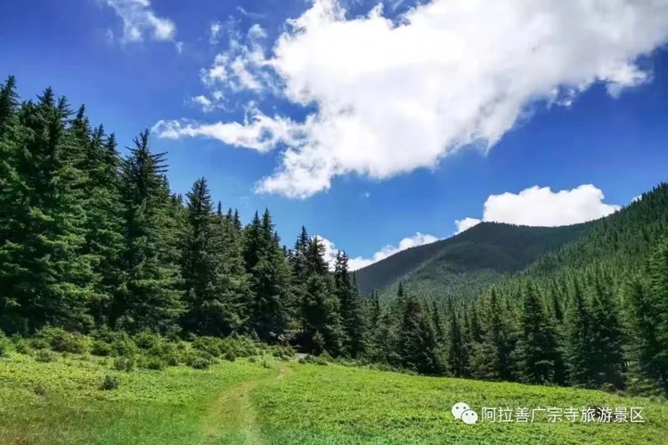 內蒙古阿拉善盟：生態保護修復讓賀蘭山現壯美新容顏_fororder_2