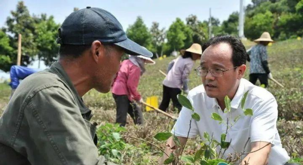 【2022中國品牌日|為你講一個新故事】 做茶農“領頭羊” 繆惠民帶動天目湖白茶一方熱土_fororder_圖片1