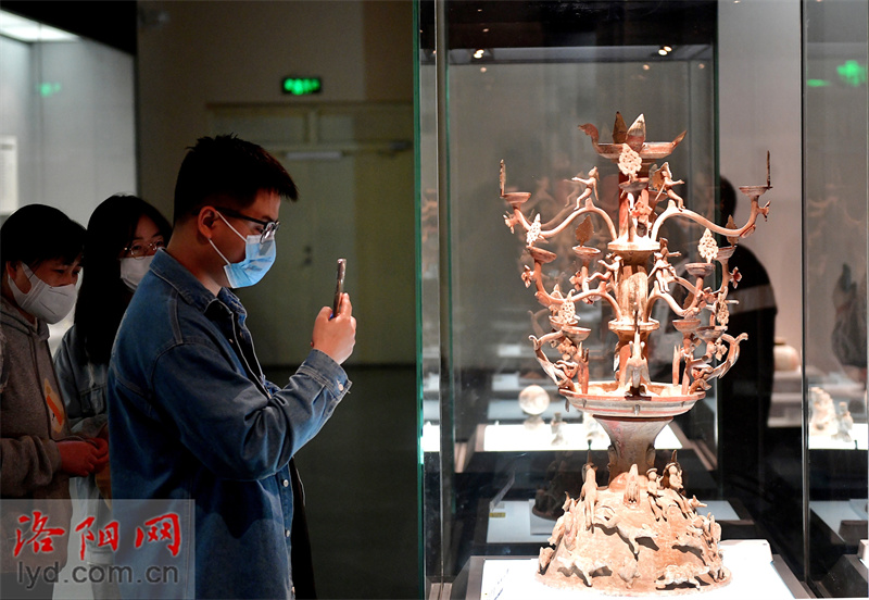 Nighttime Activities Held on Every Saturday in Six Museums in Luoyang_fororder_圖片10