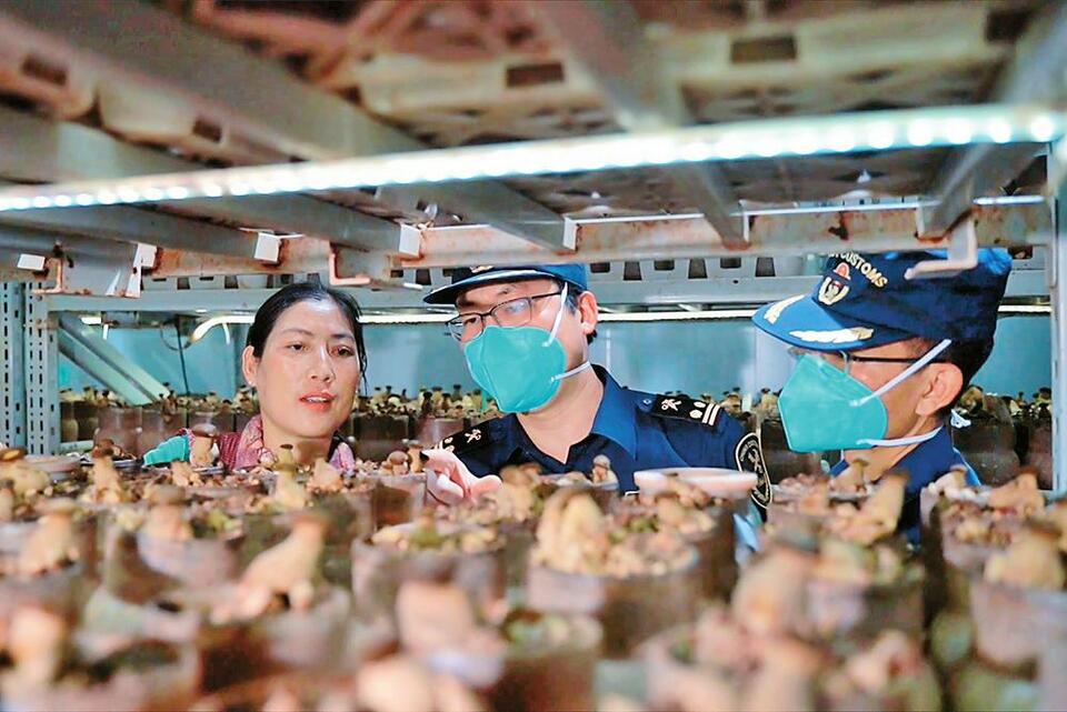 雲南菌類製品拓展國際市場_fororder_0