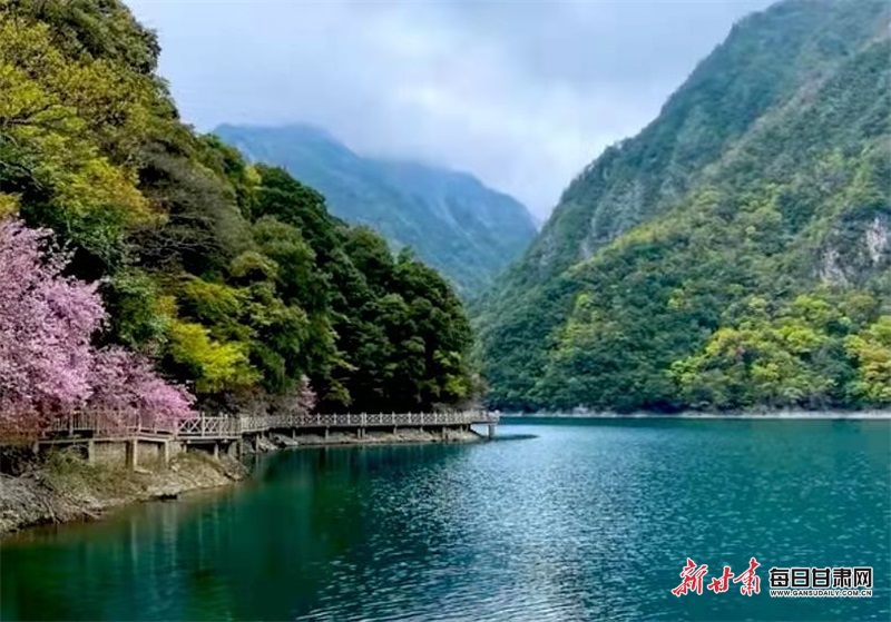 【焦點圖】湖光山色兩相宜 水墨丹青詩畫裏 夏日文縣天池美出新境界_fororder_1
