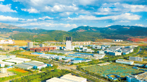 雲南：高標準建設60個“雲藥之鄉”_fororder_9