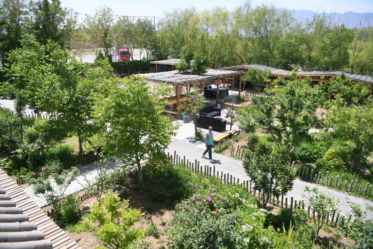 賀蘭山網評：鋪展美麗中國嶄新畫卷