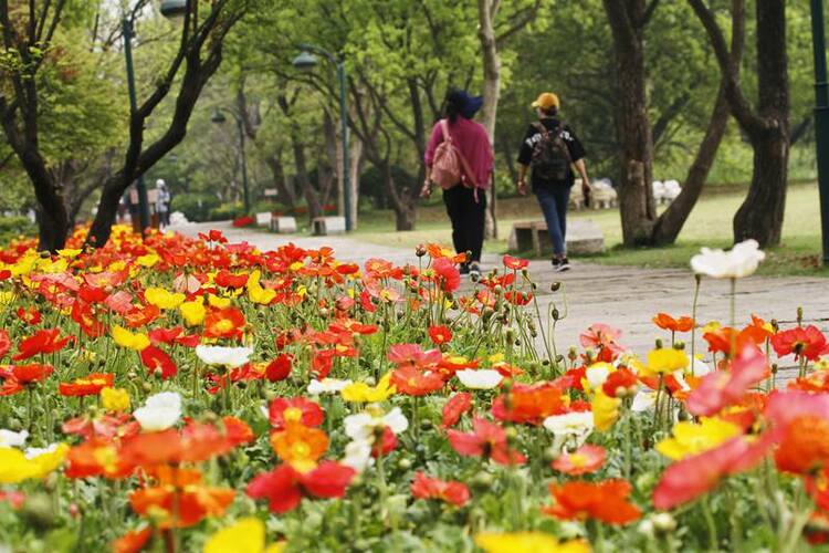 （生態）6月起正式施行！杭州西溪國家濕地公園保護管理工作迎新規_fororder_3