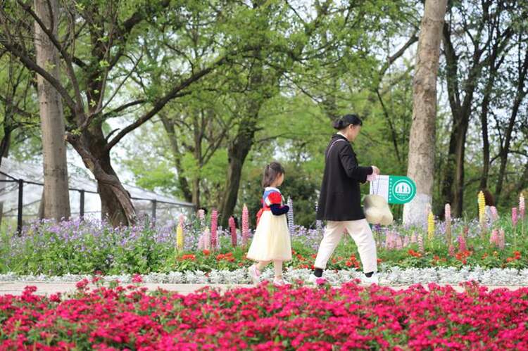 （生態）6月起正式施行！杭州西溪國家濕地公園保護管理工作迎新規_fororder_5