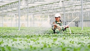久久為功繪新卷 正是幸福夢圓時 —寧夏打贏脫貧攻堅戰推進鄉村振興工作綜述