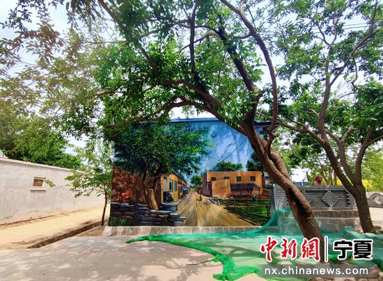 寧夏靈武：百年桑葚格外紅