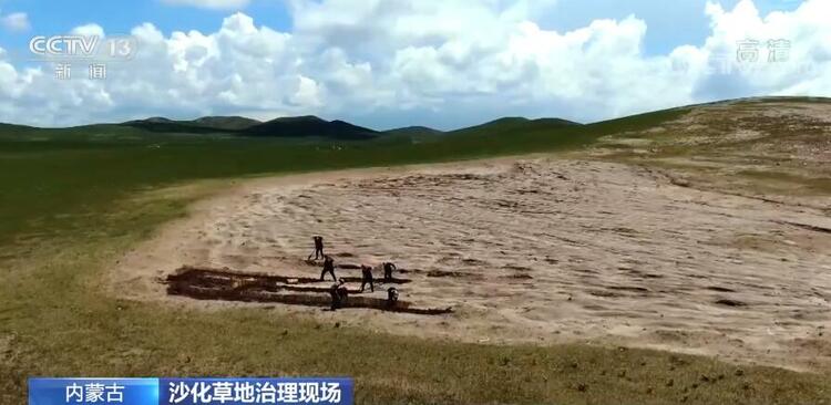 【大美邊疆行】烏拉蓋草原：碧草氈房牛羊壯 休牧歸來綠滿坡