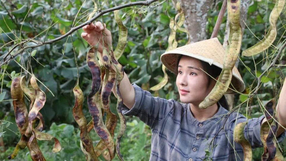 雲南“網紅達人”自主創業為家鄉添磚加瓦