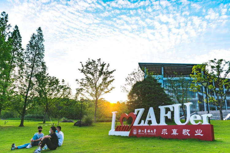 出海觀茶 | 浙江農林大學王磊：培養複合型人才 以“新”茶人助推中國茶國際化_fororder_浙江農林大學王磊210