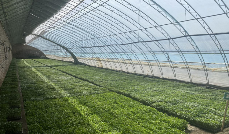 寧夏西吉：大地織錦繡 電力繪新篇_fororder_截屏2022-06-23 11.59.48