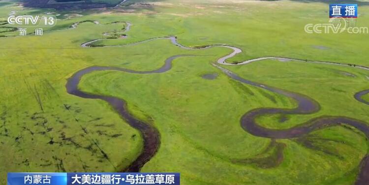 【大美邊疆行】烏拉蓋草原：碧草氈房牛羊壯 休牧歸來綠滿坡