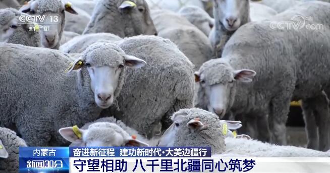 【奮進新征程 建功新時代·大美邊疆行】守望相助 八千里北疆同心築夢
