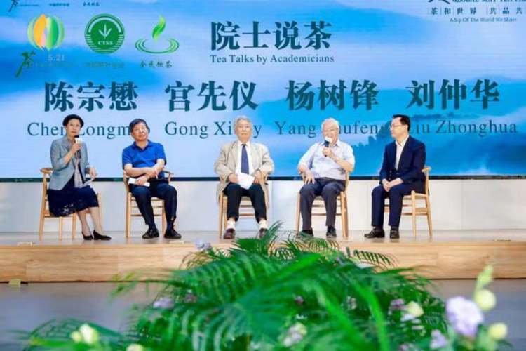 出海觀茶 | 中國茶葉學會阮建雲：  對外講好中國茶故事 《My tea，my life》等茶書籍將出版_fororder_國際在線出海觀茶：中國茶葉學會阮建雲458
