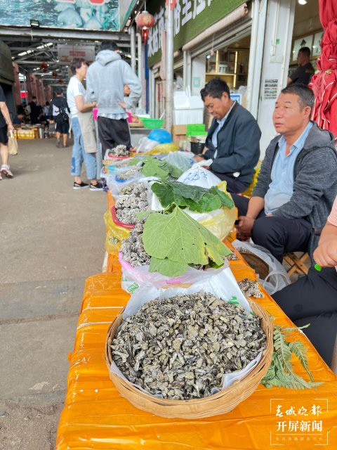 雲南木水花交易中心：每天上市150噸野生菌