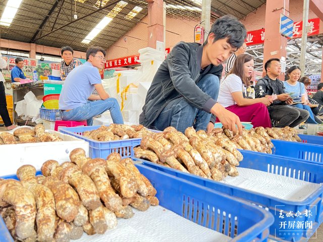 雲南木水花交易中心：每天上市150噸野生菌