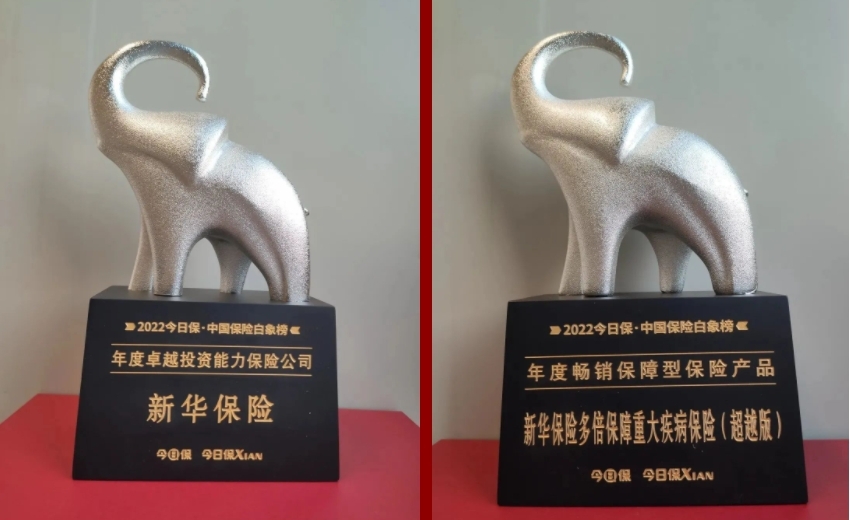 載譽前行 新華保險2022上半年榮譽榜發佈_fororder_12
