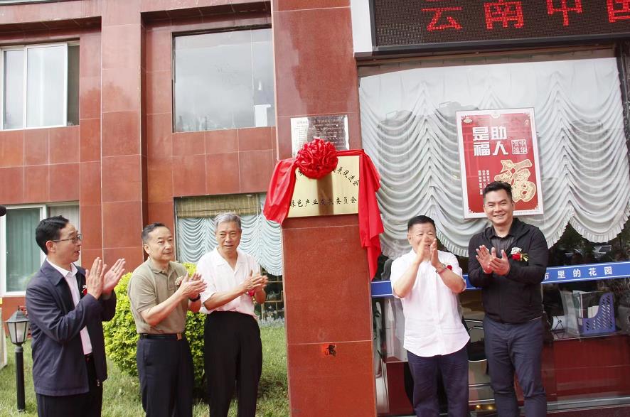 雲南西促會綠色産業發展委員會在昆明揭牌_fororder_2