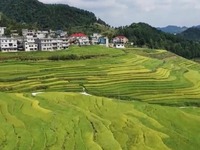 【走進縣城看發展】貴州仁懷：堅持綠色發展 提升民生福祉