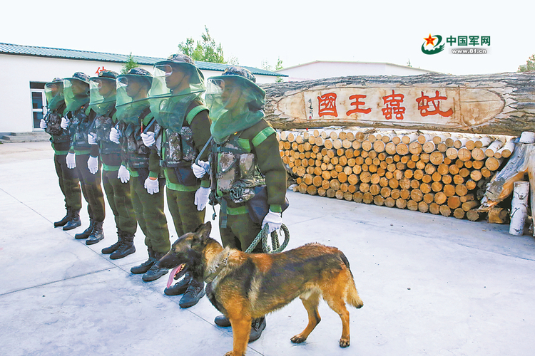 官兵中哈邊境39號界碑巡邏 “蚊子窩”裏接受身體心理考驗