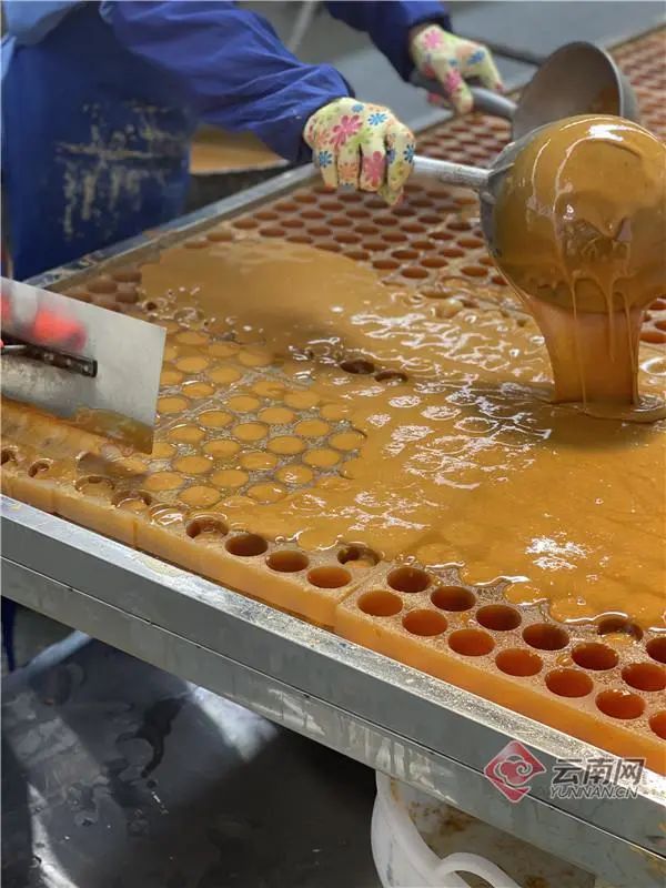 雲南“網紅達人”自主創業為家鄉添磚加瓦
