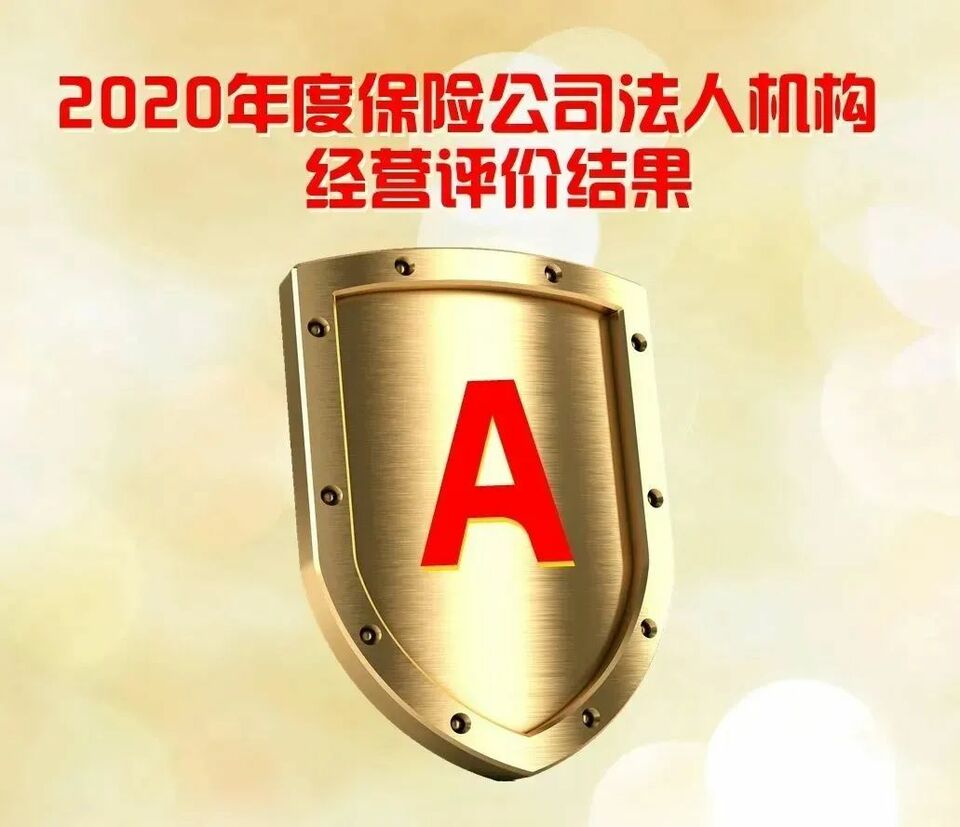 載譽前行 新華保險2022上半年榮譽榜發佈_fororder_08