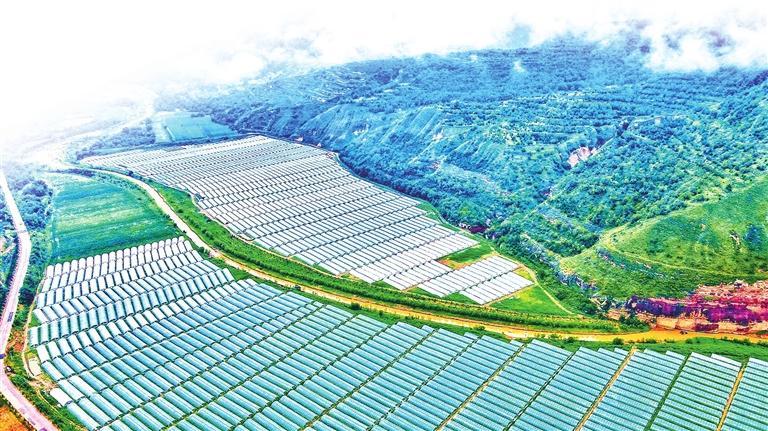 【縣域】甘肅慶陽西峰區全力以赴推進重點項目建設_fororder_5