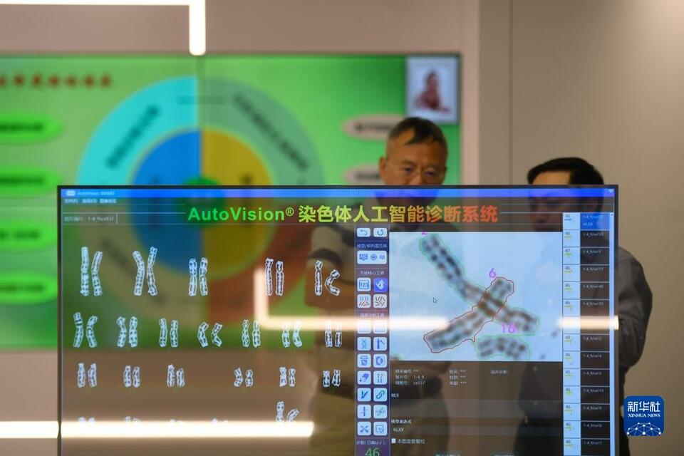 奮進新征程 建功新時代·非凡十年｜浙江：幹在實處求實效 走在前列勇擔當
